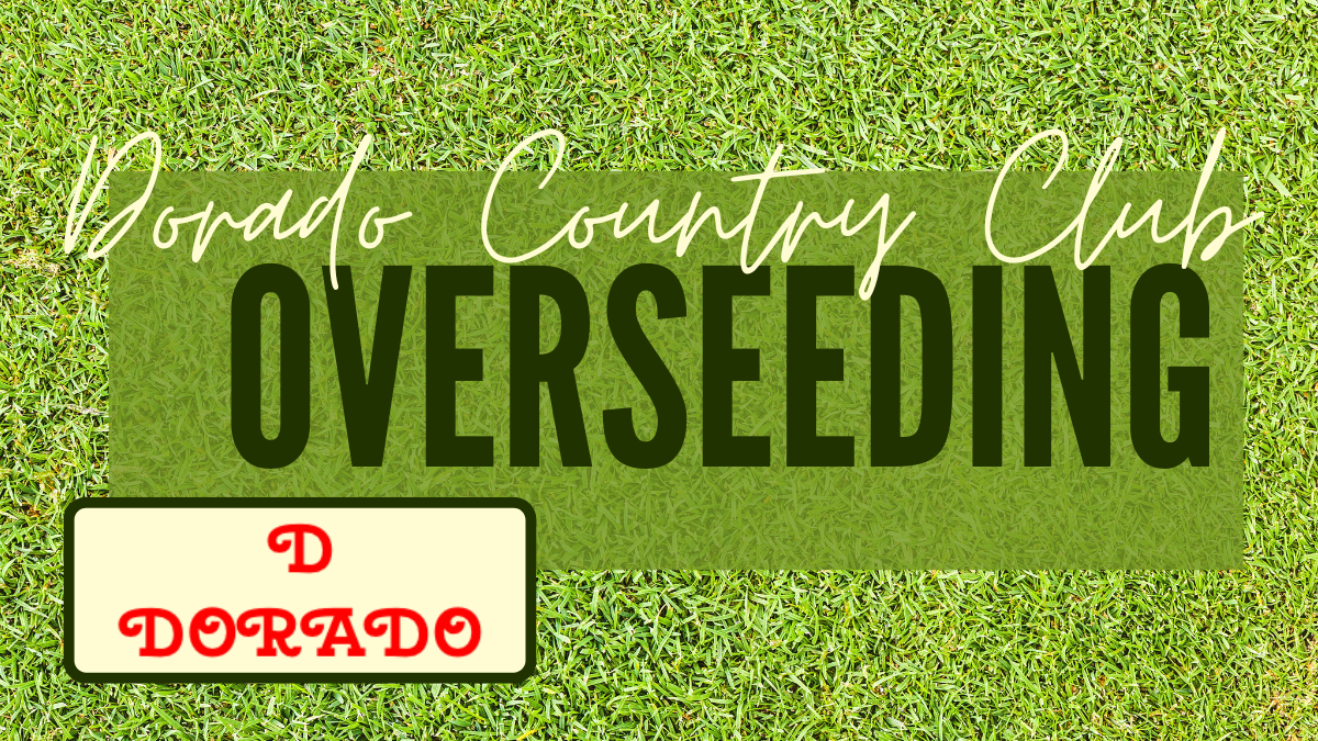 Overseeding – 9/17